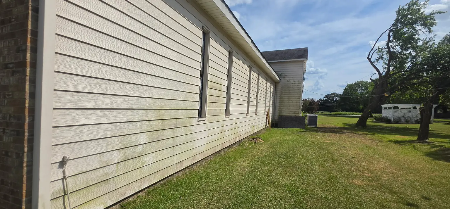 Before: long vinyl siding wall with green algae streaks along the bottom