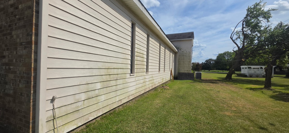 Algae-stained exterior wall before pressure washing
